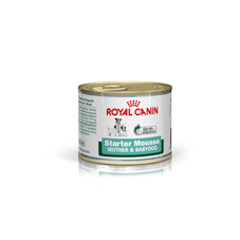Royal Canin Starter Puppy Mousse 12x195g